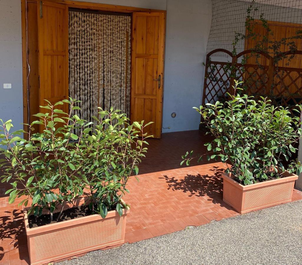 Umbria Vacanze Stroncone Exterior foto